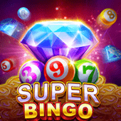 Super Bingo Plus